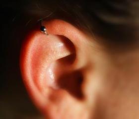  Cartilage Ear Cuff (silver) with ball - No Piercing Required